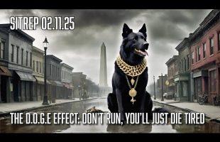 The D.O.G.E Effect: Don’t Run, You’ll Just Die Tired – SITREP 02.11.25