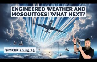 Engineered Mosquitoes and Weather, What Next? SITREP 12.15.23