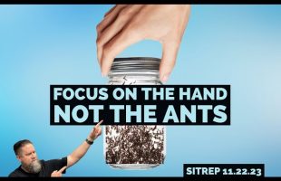 Focus on the Hand, Not the Ants – SITREP 11.22.23