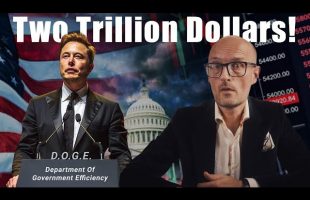 Can Elon Musk Cut Two Trillion Dollars From the US Budget?