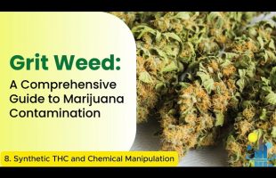 Synthetic THC and Chemical Manipulation