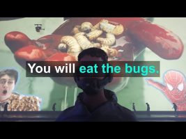 You Will Eat The Bugs