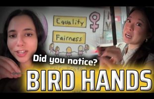 BIRD HANDS [Start watching for them]