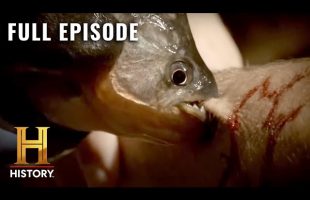 Two Legendary Creatures of the Amazon (S1, E7) | Kings of Pain | Full Episode