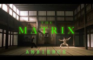 The Matrix (1999) | Combat Training | Ambient Soundscape