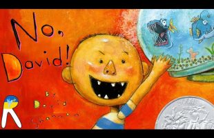 No, David! – Animated Read Aloud Book