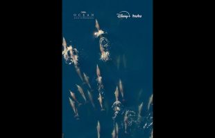 Without a thriving ocean, there’s no thriving life on Earth.