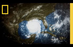 Hurricane Katrina: Race Against Time | Official Trailer | National Geographic