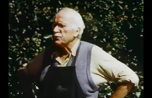 1951 Unfinished Documentary on Carl Jung’s Bollingen Stone (Restored)