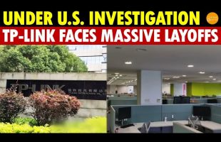 Under U.S. Investigation! China’s TP-Link Faces Massive Layoffs, Entire Export Tech Department Cut