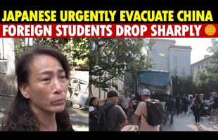 Japanese Nationals Urgently Evacuate China, Foreign Student Numbers Drop Sharply