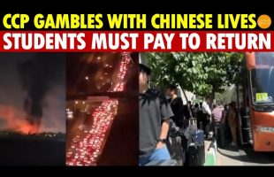 The CCP Gambles with Chinese Lives, Denying Evac from Iran! Students Must Pay to Return Home