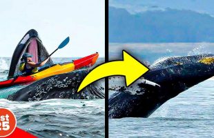 25 Facts That Answer All Your WHY Questions