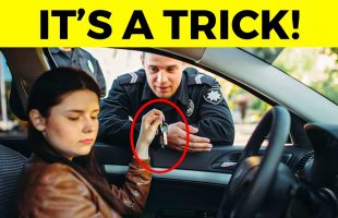 25 Ways To Outsmart The Cops