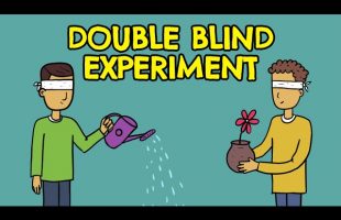 What is a Double Blind Study? (Definition + Examples)
