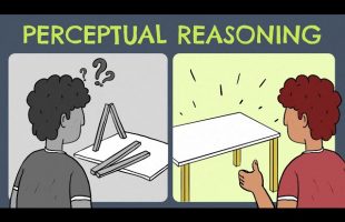 Perceptual Reasoning (Definition + Examples)