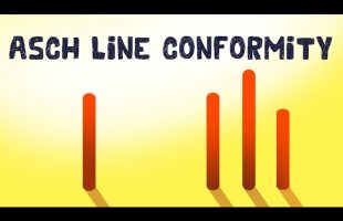 The Asch Line Study – Conformity Experiment