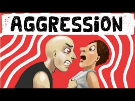 Theories of Aggression in Social Psychology