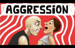 Theories of Aggression in Social Psychology