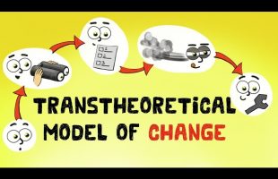 Transtheoretical Model and Stages of Change (Examples)