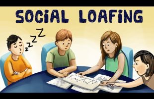 What is Social Loafing? (Definition + Examples)