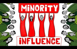 Minority Influence (4 Things Required for Change)