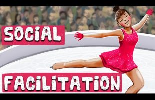 Social Facilitation (Definition + Examples)