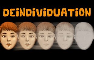 Deindividuation (Definition + Examples)