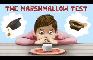 The Marshmallow Test (Stanford Experiment + Truth)