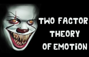 Two-Factory Theory of Emotion (Definition + Experiments + Examples)
