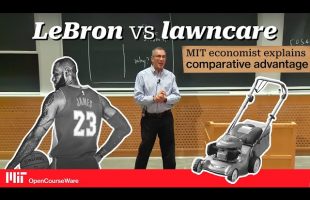 LeBron vs. Lawncare: Why It’s All About Trade-Offs