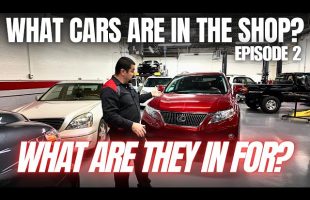 What Cars Are In My Shop? And What Are They In For? Episode 2