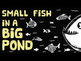 The Small-Fish Big-Pond College Problem and a Few Helpful Tips