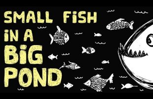 The Small-Fish Big-Pond College Problem and a Few Helpful Tips