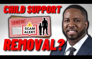 Child Support Removal Scam? – Daraine Delevante and Others