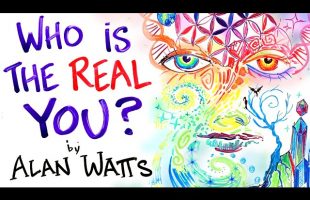 The False Idea of Who You Are – Alan Watts