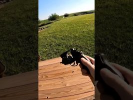 2 Inch Barrel S&W 357 Magnum At 100 Yards. #shorts