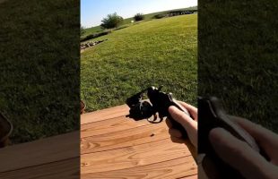2 Inch Barrel S&W 357 Magnum At 100 Yards. #shorts