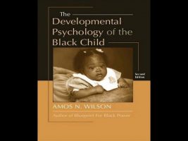 Amos N. Wilson | Black Child Development Under White Supremacy