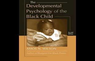 Amos N. Wilson | Black Child Development Under White Supremacy