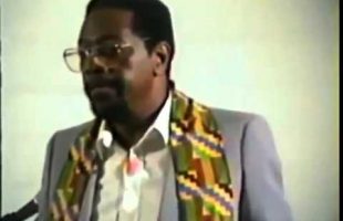 Dr. Amos Wilson – The Falsification of African Consciousness