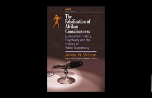 Amos N. Wilson | European Psychological Warfare Against the Afrikan Mind