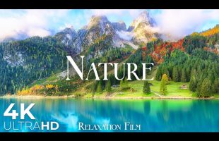 Nature Europe 4K • Calm Horizon with Deep Relaxing Music | Relaxation Film
