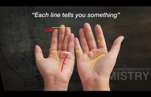 “Your Palms Tell You Everything”