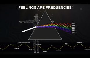 “It All Begins with The “RIGHT” Feeling”