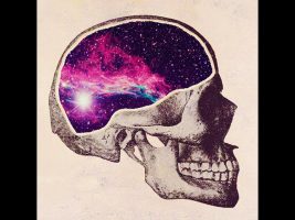 The Universe Inside (Terence Mckenna)