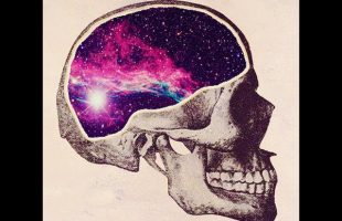 The Universe Inside (Terence Mckenna)