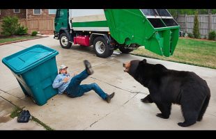 Caught in 4K: This Garbage Guy Just Went Viral