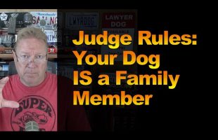 Judge Rules: Your Dog IS a Family Member