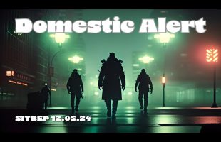 Domestic Alert! SITREP 12.05.24